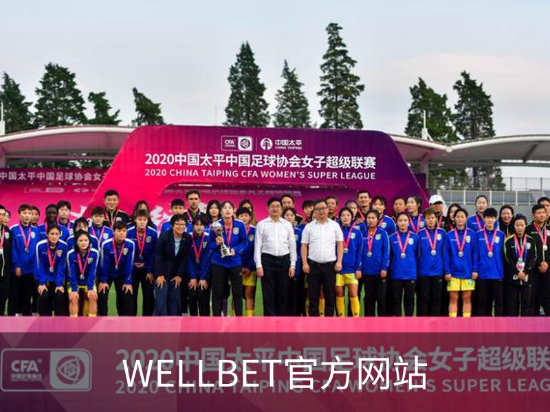 了解WELLBET官方网站